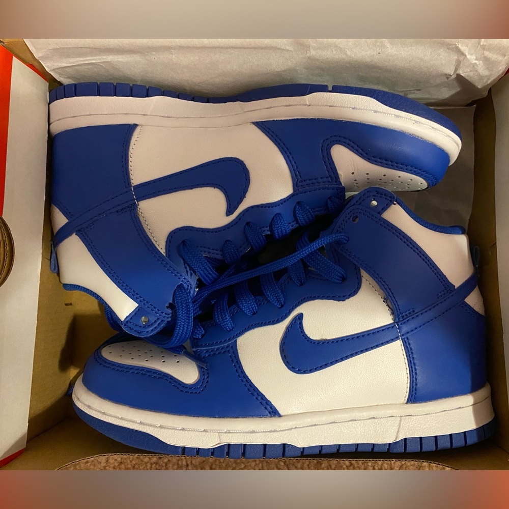 Nike Dunk High